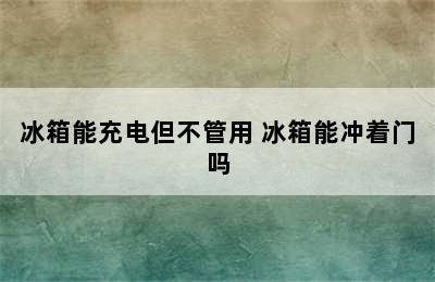 冰箱能充电但不管用 冰箱能冲着门吗